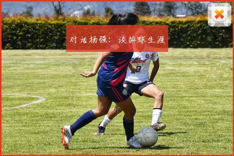 对话杨强：谈排球生涯