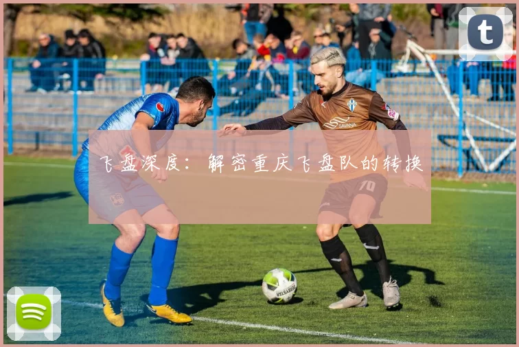 飞盘深度：解密重庆飞盘队的转换